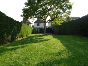 Detached 3 bedroom house in cul de sac with view close to Farnham town sold by Trueman & Grundy